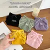 Nueva colección de verano: elegantes y seductores calzones tipo bikini de cintura alta, transpirables y sexys para mujer con un atrevido diseño de corte