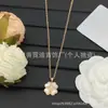 Nueva colección de collares marca D/marca Dior, disponible exclusivamente para comercio electrónico transfronterizo, productos nuevos con etiquetas originales, collar de nariz de cerdo CD al por mayor