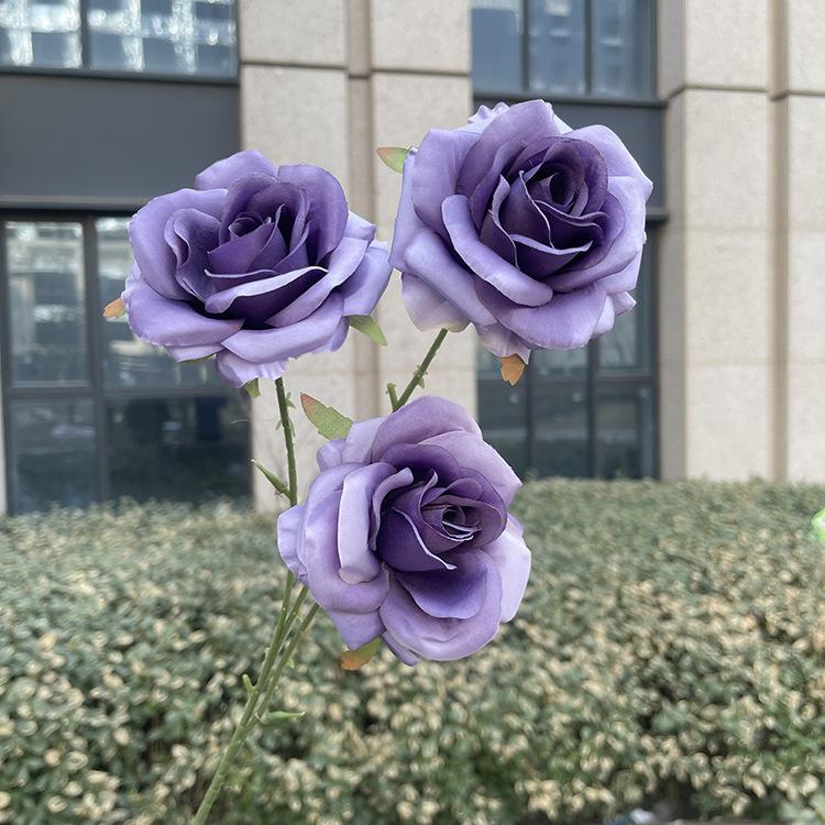 3头美美玫瑰-stxmx-紫色.JPG