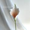 Flor artificial de una sola PU, lirio de cala de alta calidad, centro comercial transfronterizo de comercio exterior, fábrica de decoración del hogar de paisaje Meichen, venta al por mayor