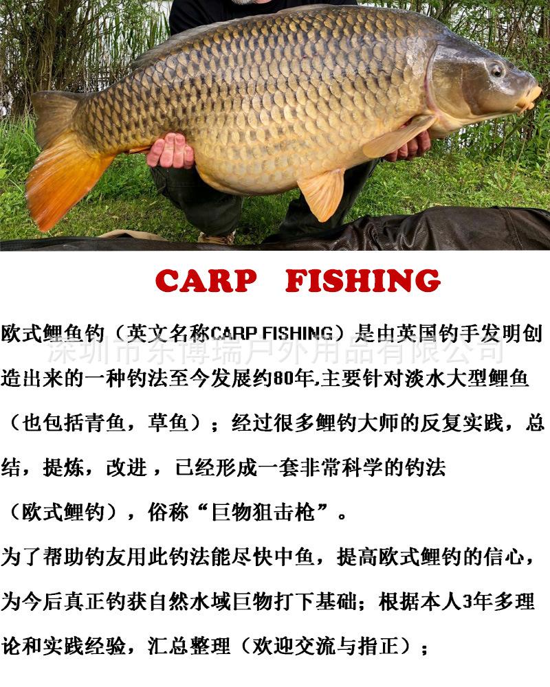欧鲤钓详情图一