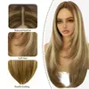 Pelucas de Fibra Sintética para Mujer con Mechas, Cabello Largo Lacio con Raya Media, Capas, Venta Caliente en Comercio Exterior Europeo y Americano, Venta al por Mayor desde el Fabricante