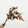 Simulación que contiene Yang de 5 ramitas pequeñas de granada, fruta, flores de granada, arreglo floral, sala de estar, comedor, mueble de TV, decoración de mesa