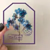 50 Piezas de Susurros del Anochecer Pegatinas Creativas Doble Transparencia para Mascotas Graffiti Manual de Decoración DIY Funda de Teléfono Móvil Pegatinas de Regalo para Computadora