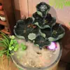 Ornamentos Criativos de Fonte com Água Corrente Bola Feng Shui Paisagem Aquática Umidificador Roda Feng Shui Chinesa Aquário Pequeno para Mesa de Sala de Estar