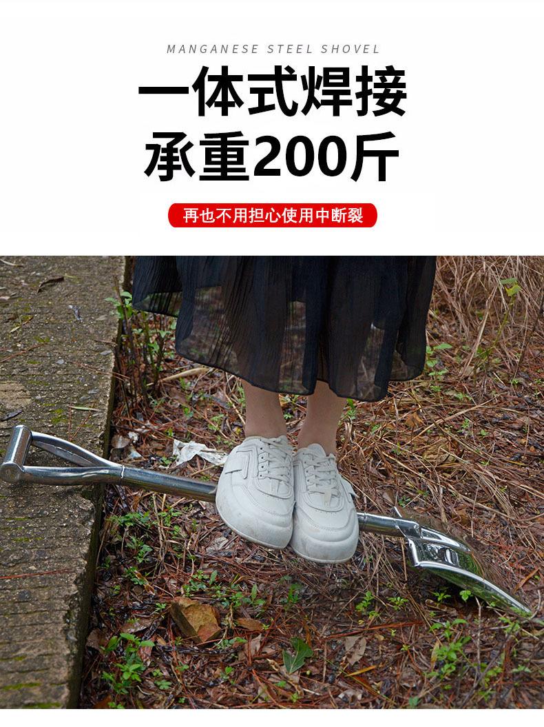 详情7