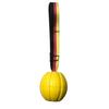 Bola Eva Quicante Brinquedo de Cabo de Guerra para Cães Anel de Puxar Treino Frisbee com Corda Bola Elástica Bastão Molar Spot Atacado