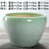 Novo Vaso de Flor de Cerâmica Extra Grande Estilo Nórdico Criativo para Interior e Exterior Árvore da Fortuna Jiboia Vaso de Flor em Vaso