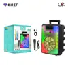 Suministro Exclusivo Transfronterizo de Nuevo Modelo Altavoz Bluetooth con Iluminación RGB Colorida de Alta Potencia Micrófono Inalámbrico Altavoz Portátil para Fiestas
