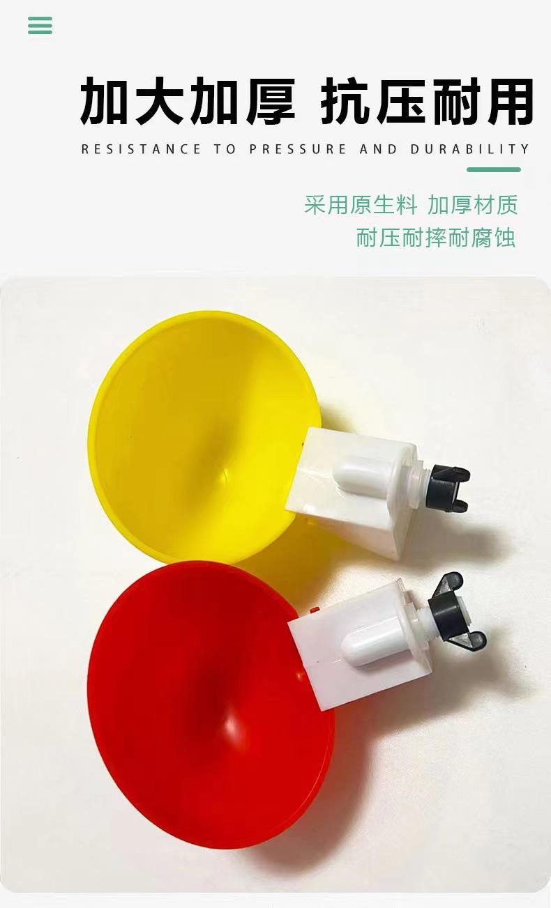 详情页 (3).jpg