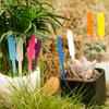Lanzamiento de productos nuevos de fábrica etiqueta para plantas suculentas de jardinería impermeable protector solar letrero de etiqueta para macetas de patio