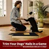 Tabla rascadora duradera para perros para afilar uñas, adecuada para Corgis y Border Collies, retráctil, se puede usar para cavar y esconder golosinas, pulido interactivo de patas