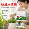 Fertilizante de rápida acción soluble en agua para aplicación foliar, promoviendo plántulas fuertes, raíces robustas y desarrollo saludable de frutos; transforma plántulas débiles en vigorosas con hojas verdes exuberantes; un fertilizante soluble en agua que contiene elementos esenciales de nivel medio