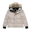 Chaqueta de Invierno Cg para Pareja Estilo Europeo y Americano con Capucha Desmontable y Cuello Grande de Plumón de Ganso, Alternativa Asequible, En Stock Transfronterizo
