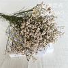 Yunnan flor seca flor eterna grama de cristal real base de flores fabricantes atacado decoração de casa arranjo de flores diy materiais artesanais