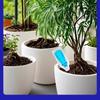 Agente de Regeneración de Plantas Líquido Resurrección Flor Planta Verde Planta en Maceta Universal Barra de Luz Amarilla Árbol de la Fortuna Suculenta Solución Nutritiva para el Crecimiento