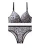 Conjunto de Sutiã Push-Up com Decote Profundo para Comércio Exterior Transfronteiriço, Conjunto de Lingerie Triângulo de Seda Gelada, Sutiã Fino, Calcinha Triângulo