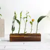 Fuente transfronteriza asiento de madera tubo de ensayo verde floral planta verde arreglo floral jarrón de vidrio mesa de sala de estar decoración de flores