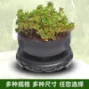 Base de pedestal para maceta estilo antiguo, base de pedestal de bandeja elevada para plantas de plástico, base decorativa redonda y cuadrada para plantas, base transpirable