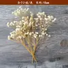 Materiales de Flores Secas Vintage Marco con Espécimen de Planta Real de Tallo Corto Arte Floral DIY Hortensia Hecha a Mano Hojas de Estilo Europeo