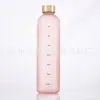 Copo de plástico de 1000ml Copo Espacial Grande Capacidade Gradiente Fosco Copo de Água Tampa de Cobre Puro Tritan Tampa de Aço Inoxidável