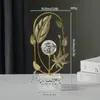 Ornamento de Arte de Bola de Cristal Nórdica Luxo Leve High-End Armário de Vinho Entrada Gabinete de TV Escritório Sala de Estar Decoração de Casa