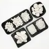 Atacado de fábrica decoração paisagismo cascalho branco base paisagismo aquário areia cascalho branco pavimentação com plantas verdes com seixos brancos