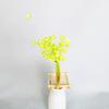 Crisântemo de Cera Pequeno Flor Eterna Materiais para DIY Flores Secas Pequeno Buquê Arranjo de Flores para Casa Decoração de Margarida Decoração Suave Que Não Murcha