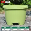 Maceteta de resina de perfil bajo engrosada, maceta grande de plástico transpirable para plantas de bulbo, tulipanes, lirios, amarilis y azafrán