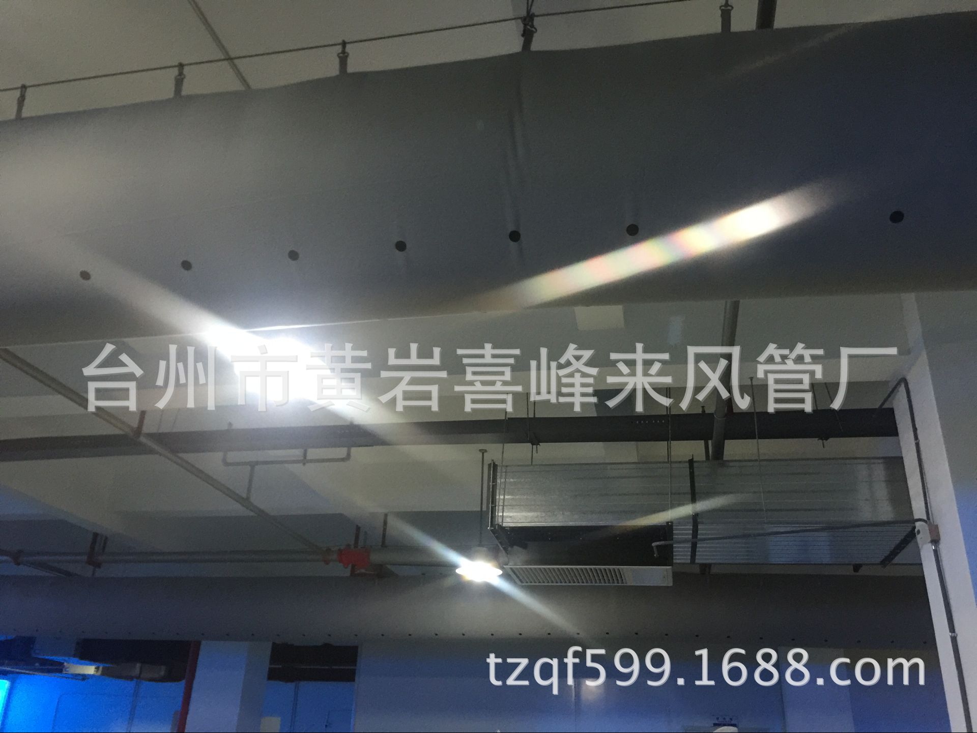 9692AEEF174491525057B71C5584A0