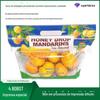 Nova Sacola de Embalagem Wogan Laranja Imperador Transparente Anti-neblina Conserva Frescor Portátil Sacola para Frutas Sacola de Embalagem para Frutas Presente