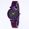 Venta al por mayor de fábrica trémolo explosión imán perezoso Reloj transfronterizo caliente malla magnética con red Reloj Estrella Roja Mujer