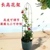 Suporte de Flores para Trepadeira Suporte Pilar de Jardinagem Varanda Pothos Rosa Clematite Trepadeira Flor Planta Suporte de Flores para Trepadeira