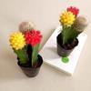 [Cactus Tricolor] Planta Auspiciosa Tres Tesoros Combinación de Bolas Tricolor Escritorio Balcón Planta a Prueba de Radiación Planta en Maceta