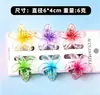 Novo Conjunto Fofo de Seis Peças de Grampos de Cabelo Estilo Férias de Verão com Flor de Plumeria para Praia e Litoral Grampos na Parte de Trás da Cabeça