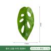 Folhas falsas artificiais Folhas de begônia Sala de estar interna Ornamentos de flores Decoração Padrão de planta verde Folhas de taro Folhas de caverna