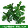 Acessórios de Plantas Simuladas do Fabricante, Decoração de Parede de Planta Verde Artificial, Gramado de Planta de Plástico, Flor Artificial, Ramo de Folhas Atacado