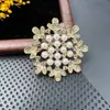 Broche Retro de Moda Sentido Avanzado Incrustado de Diamantes Corsage de Cristal Anti-deslizante Pin Hebilla Fija Accesorios para Ropa Hebilla de Aleación