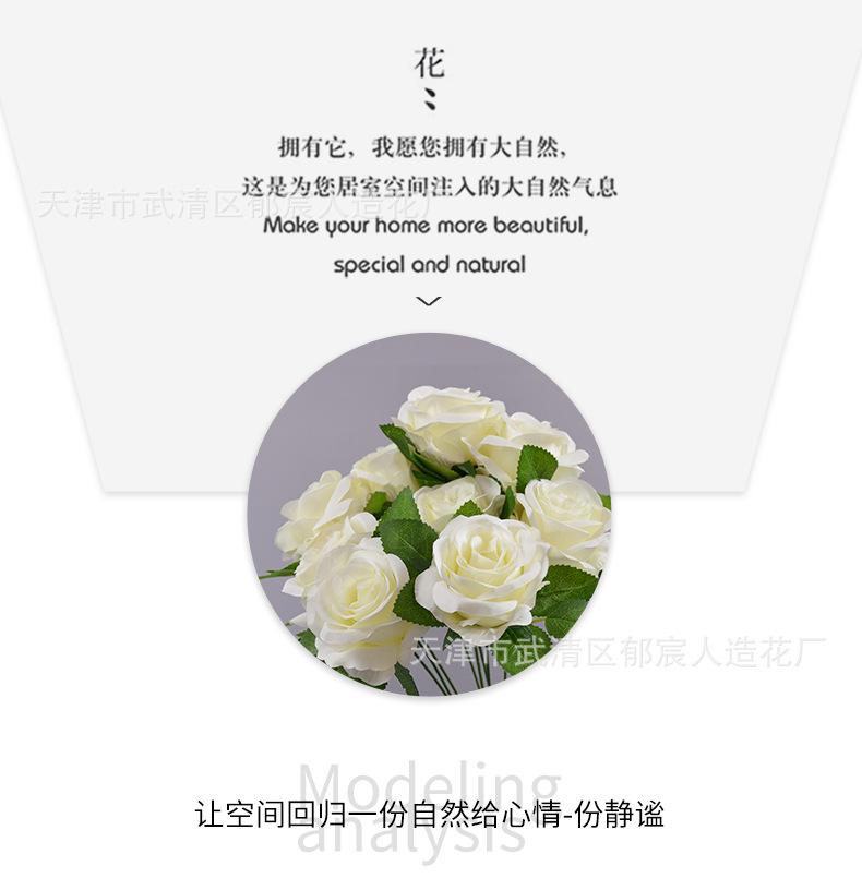 详情_08.png