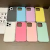 Adecuado para funda de teléfono móvil Apple 17, Nueva funda protectora de gelatina dos en uno con agujero grande para teléfono móvil 16Pro, Color puro, Anticaídas