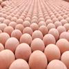 Bola Absorbente de Aceite de Piedra Volcánica Deren Exclusivo Transfronterizo Bola de Piedra Volcánica Universal Bola Rodante Portátil Absorbente de Aceite