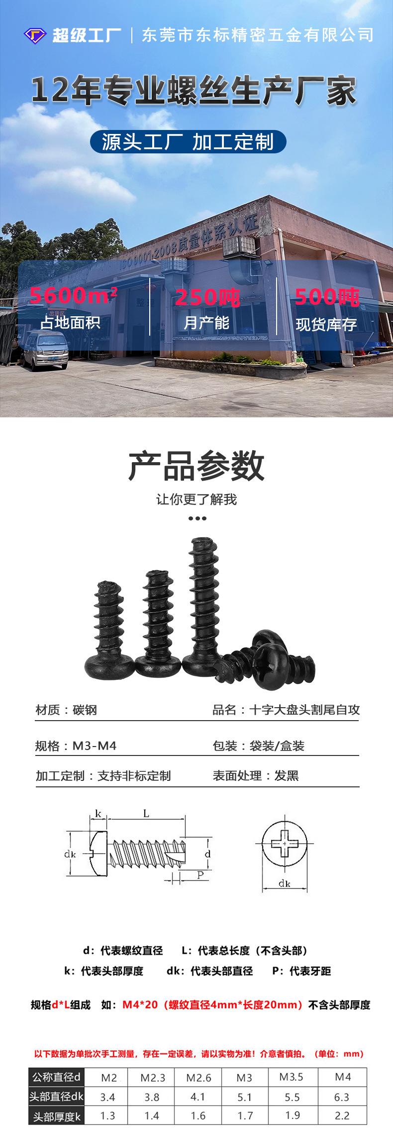 东标大盘头割尾自攻新详情_01.jpg