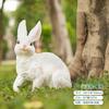 Lâmpada de Coelho Solar Simulado Personalizada Lâmpada Coelho da Lua Lâmpada Animal Paisagem Pátio Vila Fibra de Vidro Lâmpada Esboço Atacado
