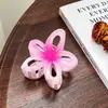 Pinza para el pelo transparente de gelatina fresca, pinza de tiburón para el pelo, pinza de pinza de lazo linda, todo a juego, accesorios para el pelo