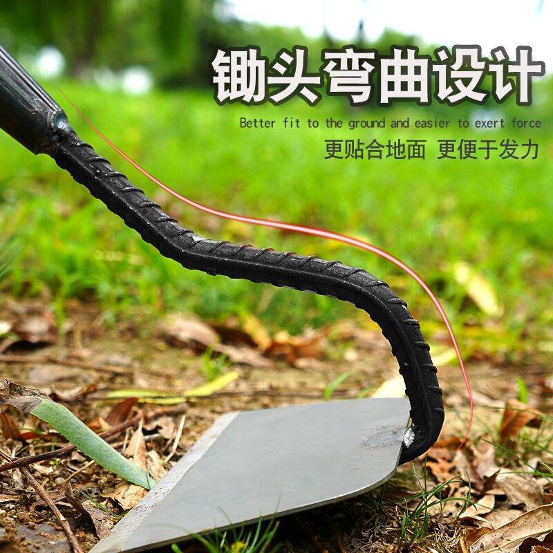 图2_proc