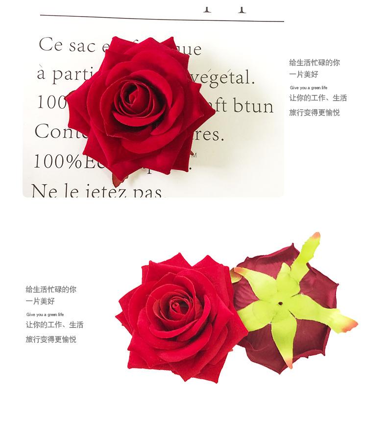 角玫瑰_04