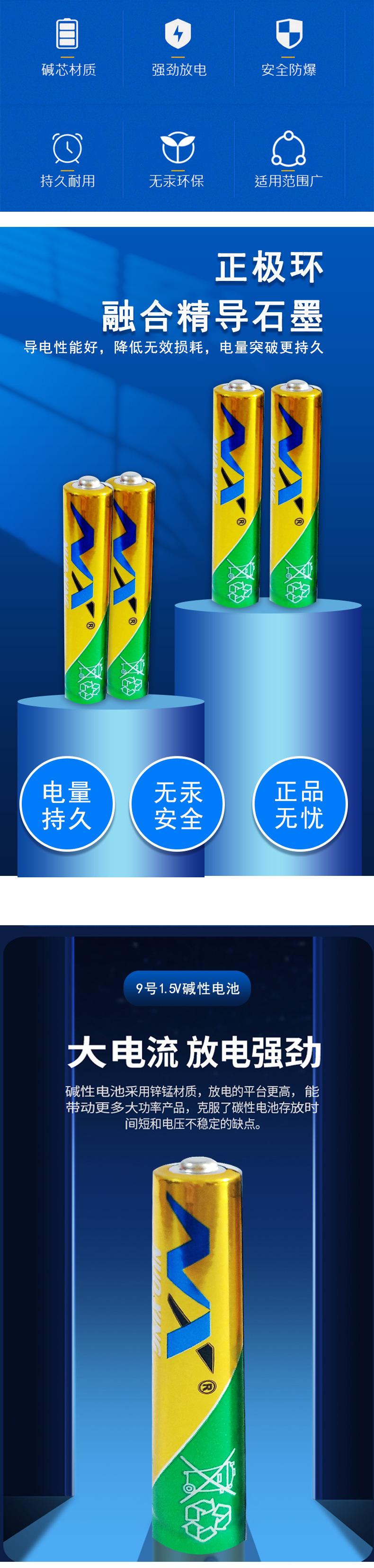 9号碱性电池详情_03