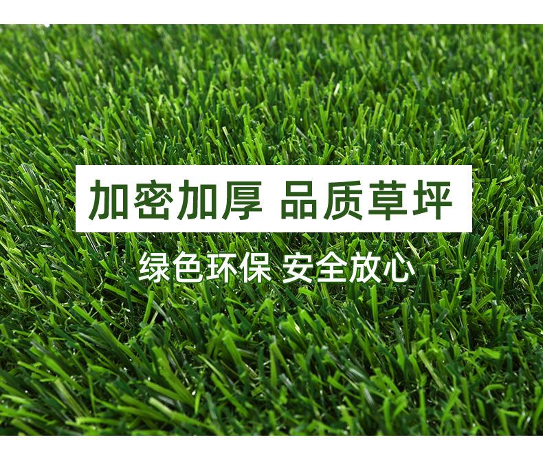 彩色草皮详情_06.jpg