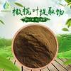 Extracto de hoja de olivo 10:1-50:1 extracto de hoja de fruto verde/extracto de hoja de olivo de montaña, extracto de oliva en stock