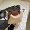 Bolsa de Ombro Único Transversal de Alta Gama Transfronteiriça para Nicho Moda Outono e Inverno 2025 Grande Capacidade Bolsa Dumpling Bolsa Tote